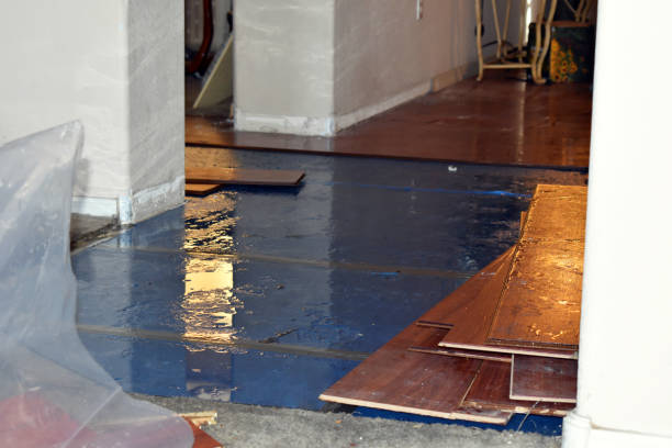 Professional Sewage Cleanup technician working in Trumbull, CT